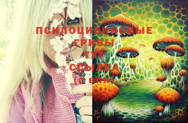 синтетический гашиш Алексин