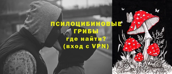 синтетический гашиш Алексин